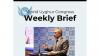 WUC slams Dutch govt for silence on Uyghur rights during China visit