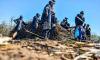 Severe labour shortages hit North Coast sugarcane farmers