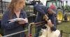 Agriculture in NWLA: See the day-to-day at this sheep farm in DeSoto Parish