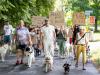 Dog owners protest proposed restrictions in Zurich’s largest off-leash zone