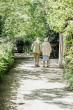 Madeira establishing statute of older people in the Portugal archipelago