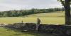 The Beauty of a Stone Wall