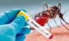 Health officials report 473 fresh cases of dengue inflection, 1 death overnight