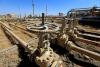 Iraq studies new oil pipeline to reduce Hormuz dependence