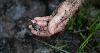 Alabama (Yes, Alabama!) Is an Epic Biodiversity Hotspot