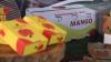 Agriculture strengthens phytosanitary measures to boost mango exports to Europe and the US