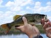 Texas cybersecurity breach hits hunting and fishing license customers