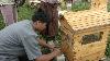 New hive technology transforms honey harvesting in Bumthang