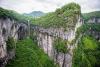 China's giant sinkholes are both refuge and trap for rare trees