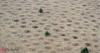 The strange landscape stretching hundreds of miles in America looks like Earth has goosebumps. Why the mystery still remains unsolved