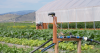 Montana couple grows farm into a community-driven farmstand business