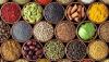 Food industry waging digital fight against deforestation: Report