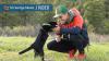 JJ Yosh and Simon the backpacking kitty travel through Southern Utah and around the world