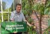 Innovation Driver and Support Horticulture Pilot Scheme