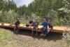 Inaugural ultra in Sundre funds new trail bridge