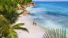 NZ Herald Travel Readers’ Choice Awards 2026: Vote for your favourite destinations and experiences