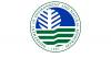 Too late: DENR to stop Oslob tree cutting after all 10 trees are already gone