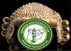 Nigerian Bar Association requires critical retooling