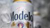 'Let's brew it in the United States': Teamsters target Modelo and Corona in push for Mexican beer tariffs