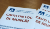 Since the beginning of the year, more than 13,000 Moldovans have found jobs with the assistance of ANOFM