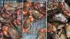 Dumuria's crab farming fuels rural prosperity and exports