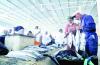 Oman prohibits imports of some fish products