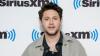Niall Horan cancels show at last minute over severe weather fears