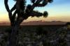 Trump renews monument wars, putting some Nevadans on high alert