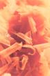 Syntetica Raises $30M Series A With Investment From Lululemon And MAS Holdings To Advance...