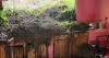 LANDSLIDE SLAMS INTO DELAFORD HOME AFTER HEAVY RAIN IN TOBAGO