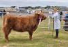 Final preparations under way for Sutherland Agricultural Show