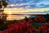 5 Serene Inns on the Maine Coast for a Calming Escape