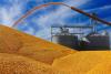 Sen. Chuck Grassley Pleads on Behalf of Farmers
