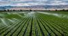 Taylor Farms recall prompts attention to Southern California shoppers