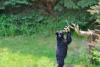 Georgia homeowner warns neighbors after camera catches black bear raiding bird feeder