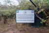 In Kenya, 2 elephant 'grandbabies' arrive 4 days apart at Ithumba