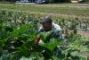 Montgomery County Farm Tour puts focus on local produce amid national parasite outbreak