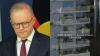 ‘Gives me an aneurysm’: Labor launches housing deposit scheme ads in Chinese