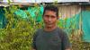 This farmer wanted to quit the cocaine industry - he couldn't