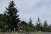 Jonas Vingegaard abandoning the Tour de France doesn't just make a fifth Tadej Pogačar victory even more likely, it radically alters how we'll perceive it – Analysis