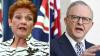 ‘Talk Australia down’: Albo takes aim at Pauline