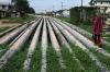 ECOWAS Approves $27 Billion Nigeria-Morocco Pipeline