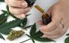 Canterbury medical cannabis supplier faces drug supply charges