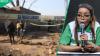 "Where is the media?" Jacinta slams silence after woman allegedly stabbed by Burundian pastor