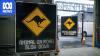 New AI-powered alert system to warn drivers of approaching wildlife