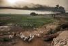 Climate change puts food security under pressure