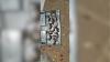 Rodent infestation rises in Gaza border communities, hundreds of traps set out