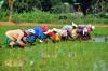 UN rights expert demands justice for massacre of Honduran farmworkers