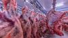 Pakistan to enhance cooperation with China in livestock