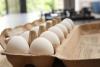 Why egg prices are rising in Odisha: Supply shortage, exports and higher costs explained